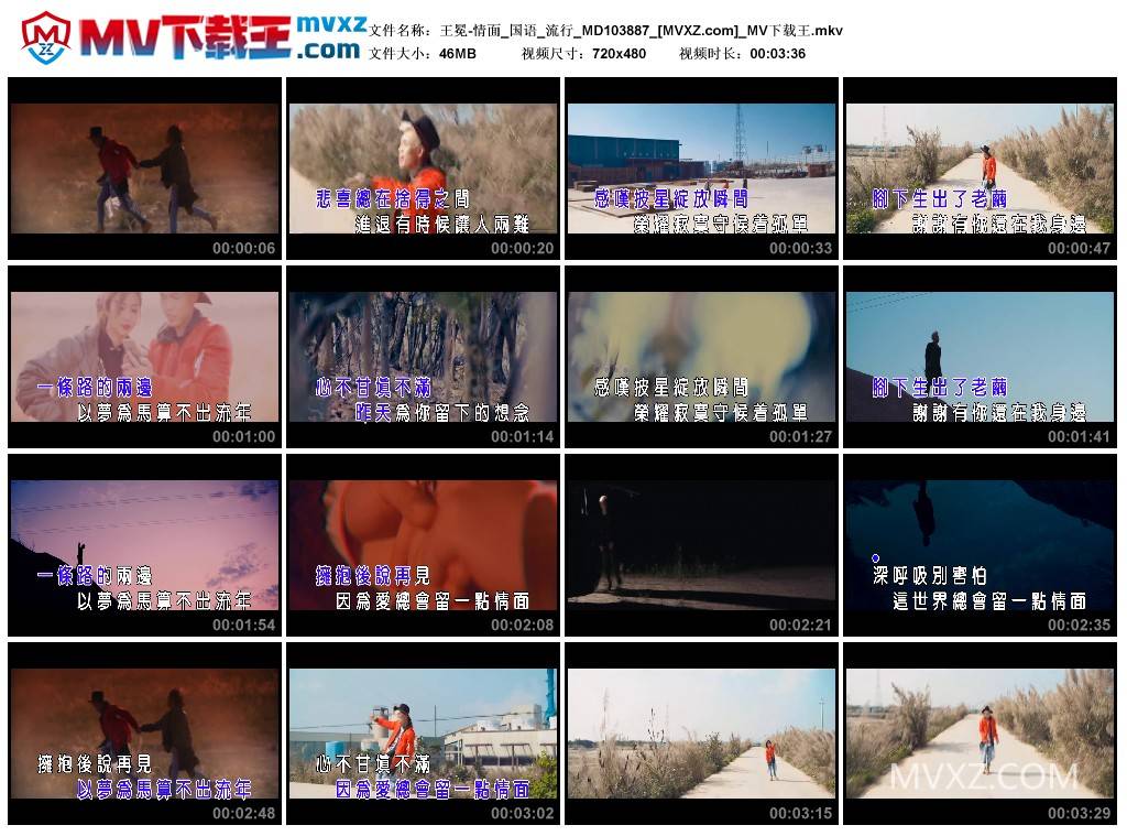 王冕-情面_国语_流行_MD103887